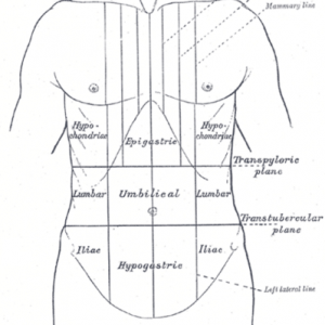 Fossa iliaca - Medicin.wiki